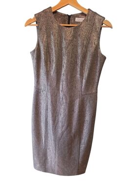 Calvin Klein Silver Sheath Dress - Sleek Sleeveless Workdresssz 4P